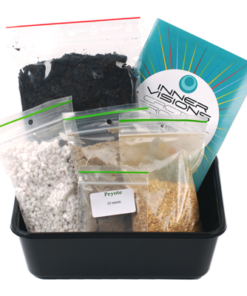 peyote cactus grow kit